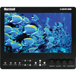 Marshall Monitor